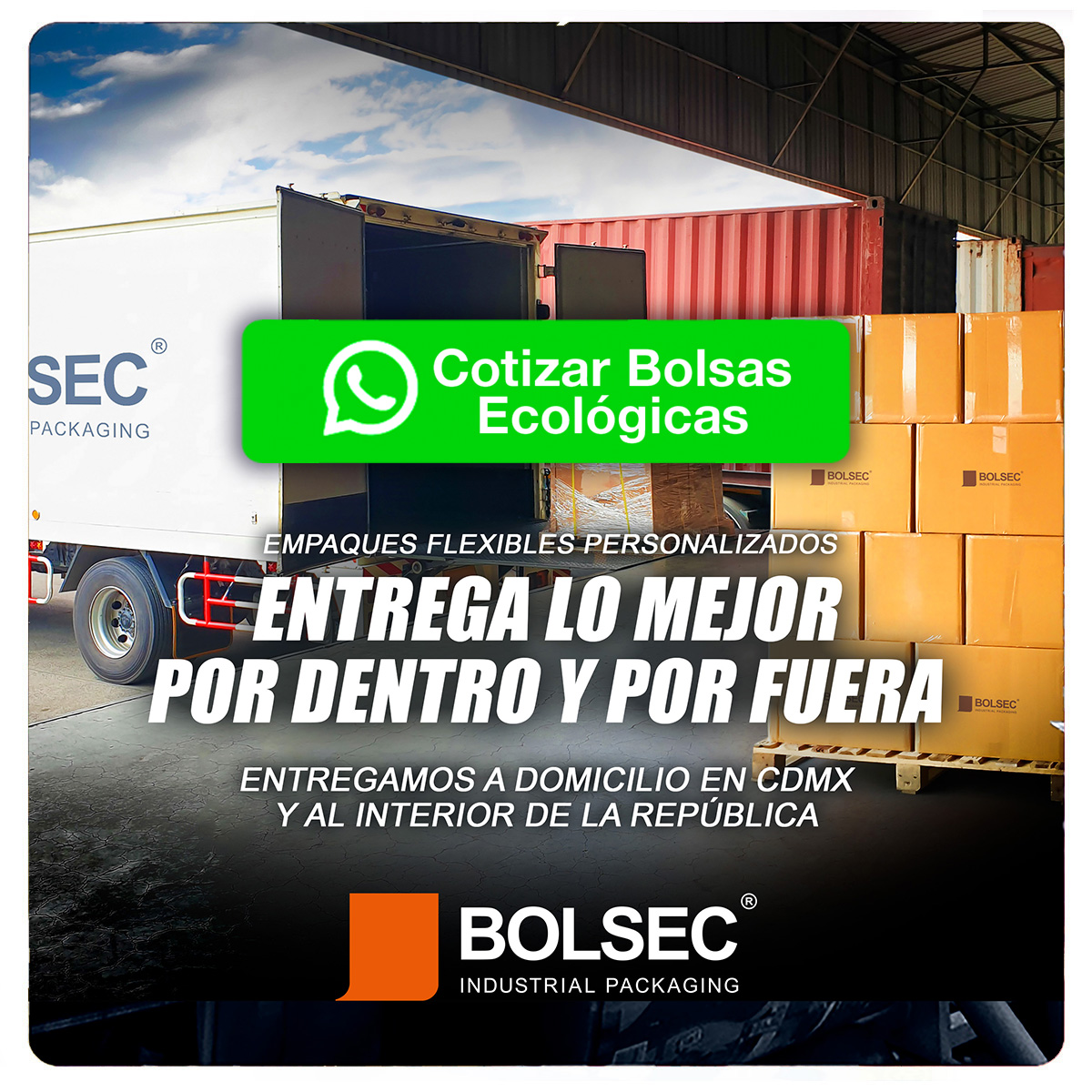 bolsas frosted con logo